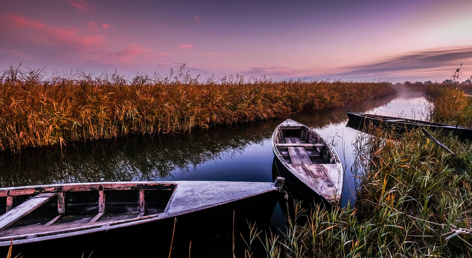 delta ebro tourism